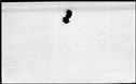 00911044.jpg