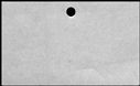 00911306.jpg