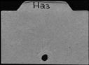 00911523.jpg