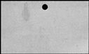 00911870.jpg