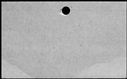 00911984.jpg