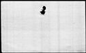 00793884.jpg