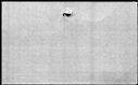 00794190.jpg