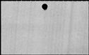 00917224.jpg