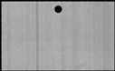 00800310.jpg