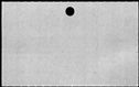 00808376.jpg