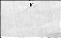 00809234.jpg