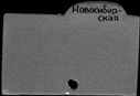 00816061.jpg