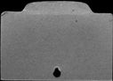 00817484.jpg