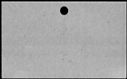 00818962.jpg
