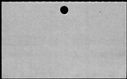 00818978.jpg