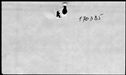 00819194.jpg