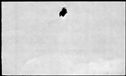 00819390.jpg