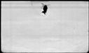 00819414.jpg