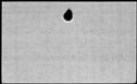 00819682.jpg