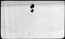 00821944.jpg