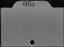 00828107.jpg