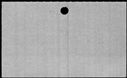 00829092.jpg