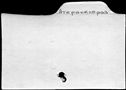 00641817.jpg