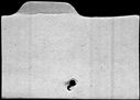 00641818.jpg