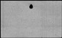 00646204.jpg
