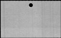 00646706.jpg
