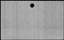 00829950.jpg