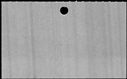 00829956.jpg