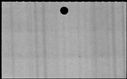 00831350.jpg