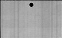 00831484.jpg