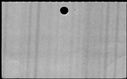 00831548.jpg