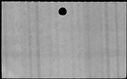 00831750.jpg