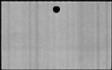 00831908.jpg