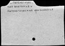 00224868.jpg