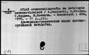 00158143.jpg