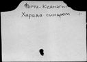 00270547.jpg