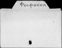 00271367.jpg