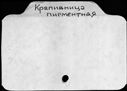00146523.jpg