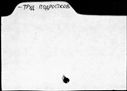 00187091.jpg