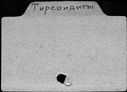 00191726.jpg