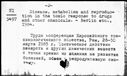 00195813.jpg