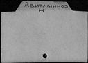 00253350.jpg