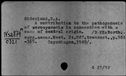 00254167.jpg