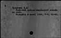 00255384.jpg