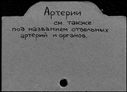 00292962.jpg