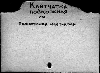 Нажмите, чтобы посмотреть в полный размер