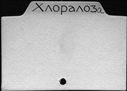 00367568.jpg