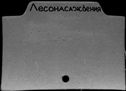 00514053.jpg