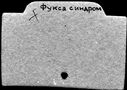 00148360.jpg
