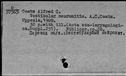 00167619.jpg
